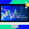The #1 Strategy To Profit From The Next Stock Market Crash By Jari Roomer