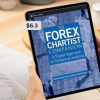 The-Forex-Chartist-Companion-A-Visual-Approach-to-Technical-Analysis-By-Michael-Duane