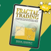 The Practical Fractal by Bill Williams