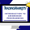 Tradingmarkets - Introduction to AmiBroker Programming