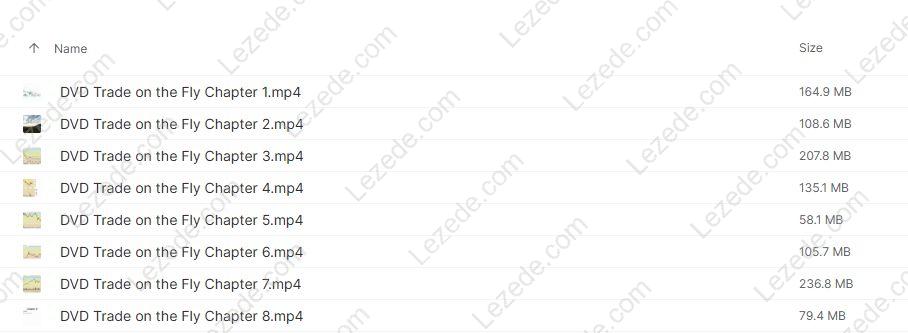 Trade-on-the-Fly-By-Michele