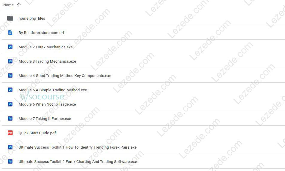 Forex Nitty Gritty Course by Bill & Greg Poulos