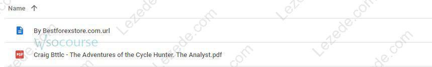 The Adventures of the Cycle Hunter. The Analyst by Craig Bttlc