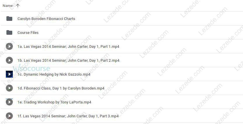 Simpler-Options-Carter-2014-Vegas-Seminar-(Oct-2014)