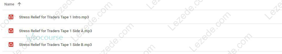 Strees Relief for Traders Workshop by Adrienne Laris Toghraie