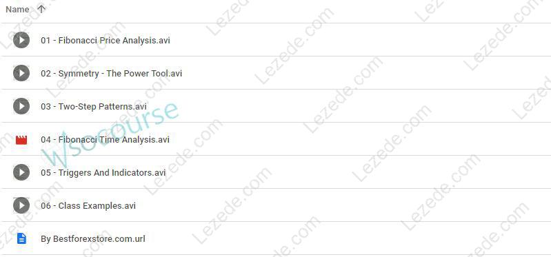 Introduction to Fibonacci Time Analysis by Carolyn Boroden