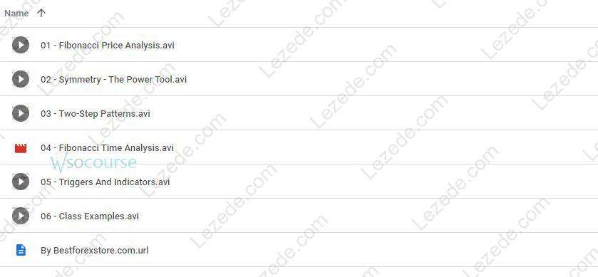 Introduction to Fibonacci Time & Price Analysis by Carolyn Boroden