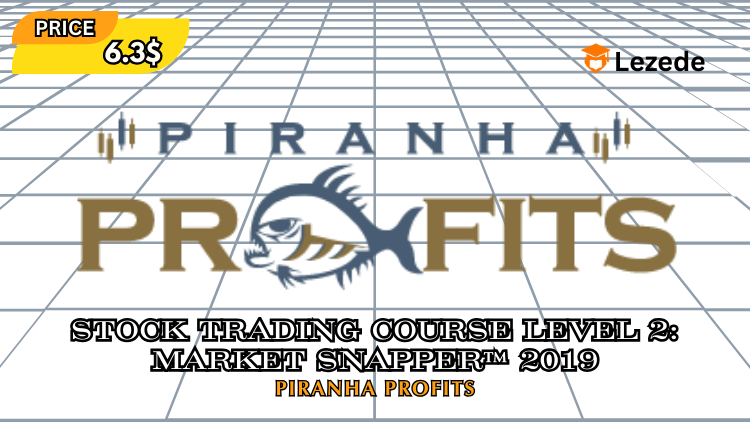 Stock Trading Course Level 2: Market Snapper™ 2019 By Piranha Profits Free Download