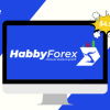 A Complete Beginner to Advanced Trading Mentorship Program By Habby Forex Trading Academy