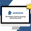A14 Weekly Options Strategy Workshop 2023 By Amy Meissner - Aeromir