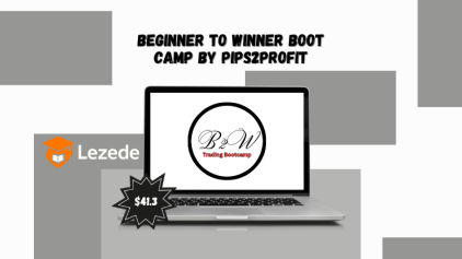 Beginner To Winner Boot Camp by Pips2Profit