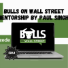 Bulls on Wall Street Mentorship by Paul Singh