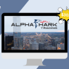 Elliott Wave Rules and Observations By Alphashark