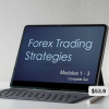 Forex Trading Strategies Modules 1-3 Complete Set By Blake Young - Shadow Trader