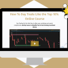 How to Day Trade Like the Top 10% By Maurice Kenny