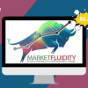Market Fluidity