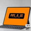 Pips-R-Us-Course-By-BK