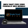 Simple Smart Forex Renko Program By Nikos Mermigas