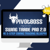 Swing Trade Pro 2.0 By PivotBoss