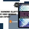 THE HARMONIC ELLIOTT WAVE VIDEO WEBINAR By Ian Copsey