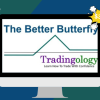 The Better Butterfly Course By David Vallieres - Tradingology