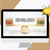The Complete XAUUSD GOLD Forex Scalping System On Real Trading Account By Forex Lia