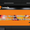 The Mango Butterfly Deep Dive 2023 By Jay Bailey - Sheridan Options Mentoring