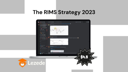 The RIMS Strategy 2023