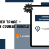 Theo Trade - 128 Course Bundle