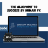 Wyckoff Analytics Courses Collection