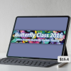 Butterflies For Monthly Income 2016 By Dan Sheridan