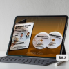 DiNapoli Levels Training Course By Joe DiNapoli & Merrick Okamoto
